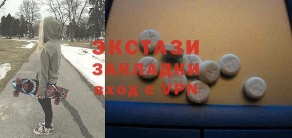 индика Каменка