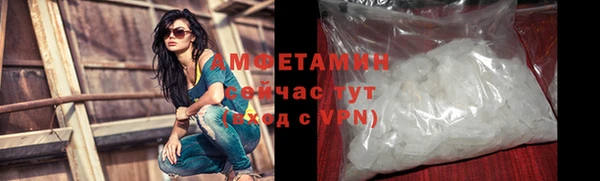 индика Каменка