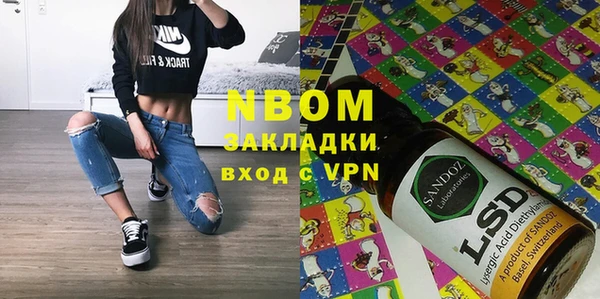 индика Каменка
