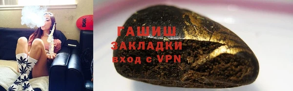 индика Каменка