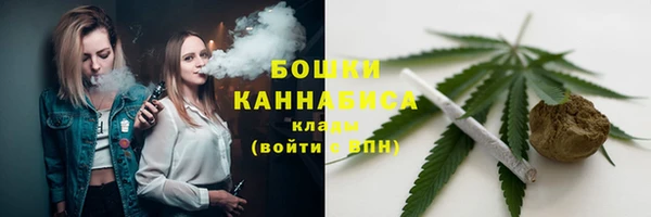 индика Каменка