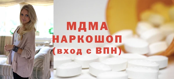 индика Каменка