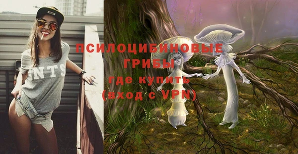 MDMA Каменногорск