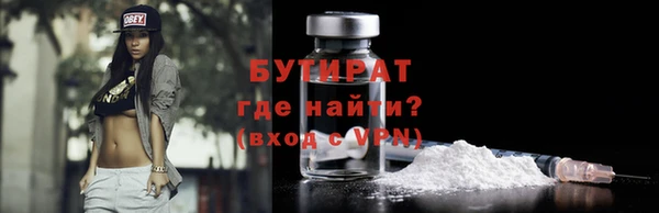 индика Каменка