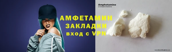 индика Каменка