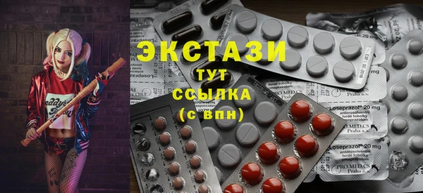 индика Каменка