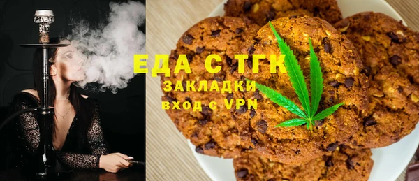 индика Каменка