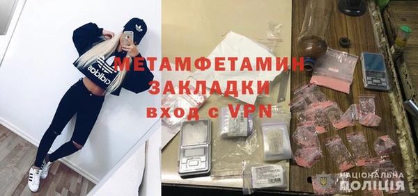 индика Каменка