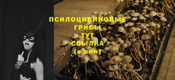 индика Каменка