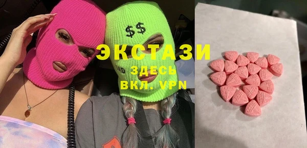 индика Каменка