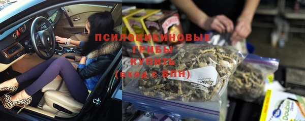 индика Каменка
