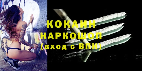 индика Каменка
