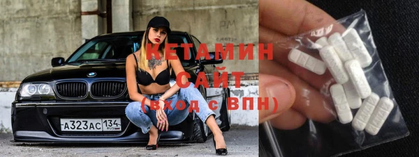 индика Каменка