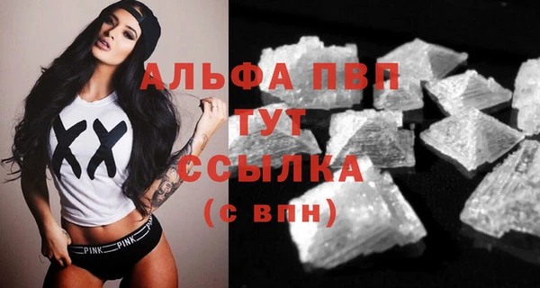 индика Каменка